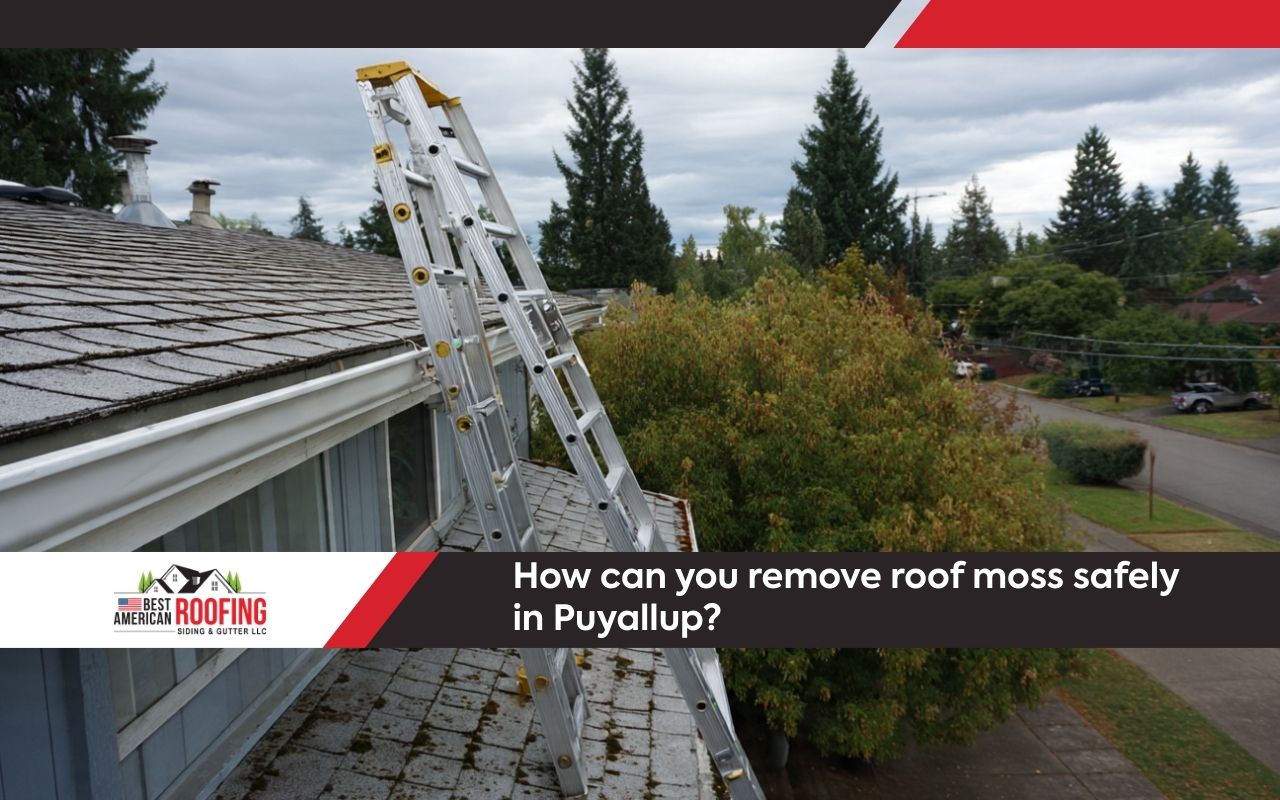 Safe ladder setup for roof moss removal safety in Puyallup
